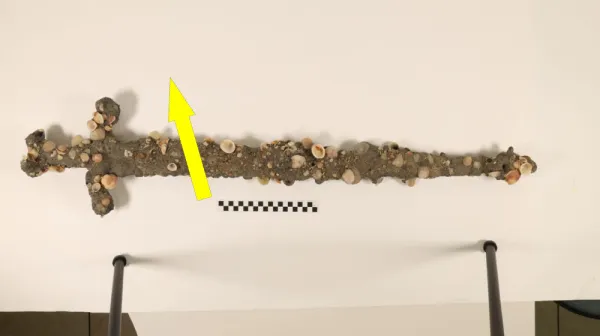 Клинок из морских глубин: как студент-исследователь нашёл древний меч крестоносцев у берегов Израиля