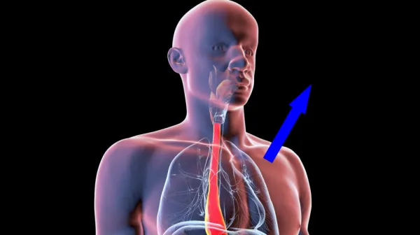 Цифровой двойник человека может изменить будущее хирургии навсегда