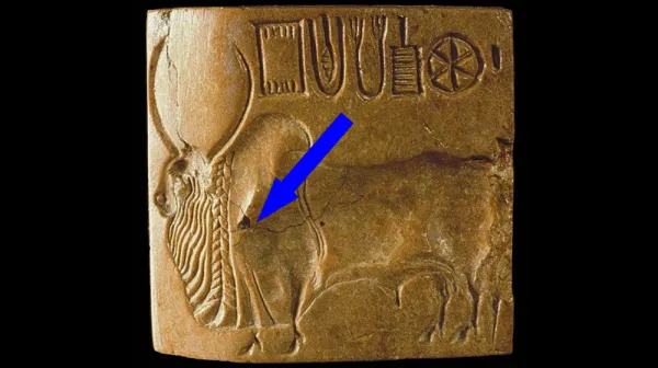 Расшифровка ИНДУССКОГО Писменности: Реальность или миф? 