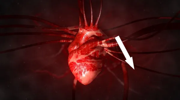 Новая надежда для сердца после инфаркта: одно укол мРНК может спасти миллионы