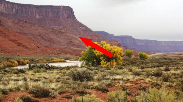  Drought paradox study reveals plants around Colorado River turn to groundwater when it gets too hot and dry, reducing flow into the already strained basin 