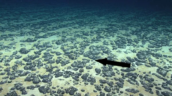 Невероятное открытие на морском дне вызывает научную бурю и сомнения экспертов