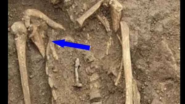  1,800-year-old nails discovered in 3 burials in Roman necropolis, possibly to 'protect' both the living and the dead 