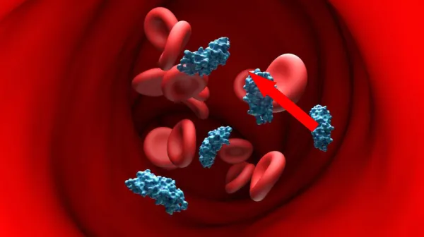  A gene carried by 99% of humanity raises Alzheimer's risk dramatically. Could gene therapy correct it? 