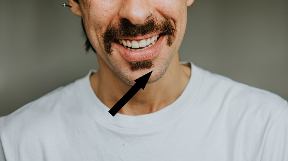 Почему только у человека есть подбородок