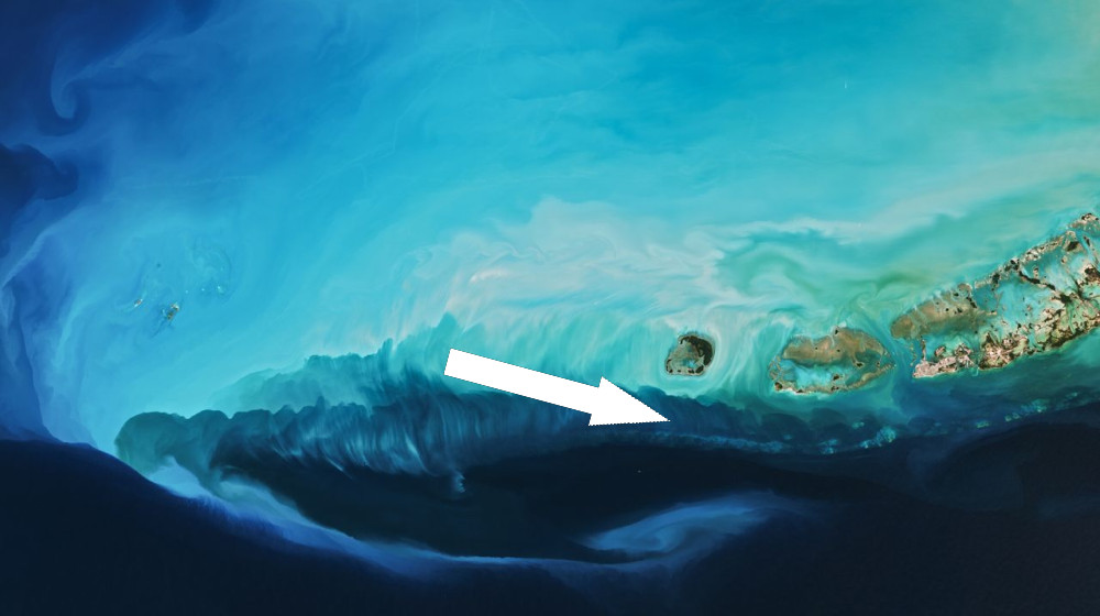  Extreme blast of Arctic air from polar vortex paints a picturesque plume off Florida coast — Earth from space 