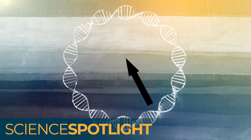 Следы жизни: как ДНК в окружающей среде помогает отслеживать изменения на Земле