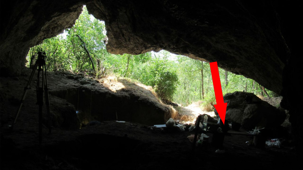  'Major disruption in Neanderthal history': 65,000 years ago, all Neanderthals in Europe died out except for one lineage 