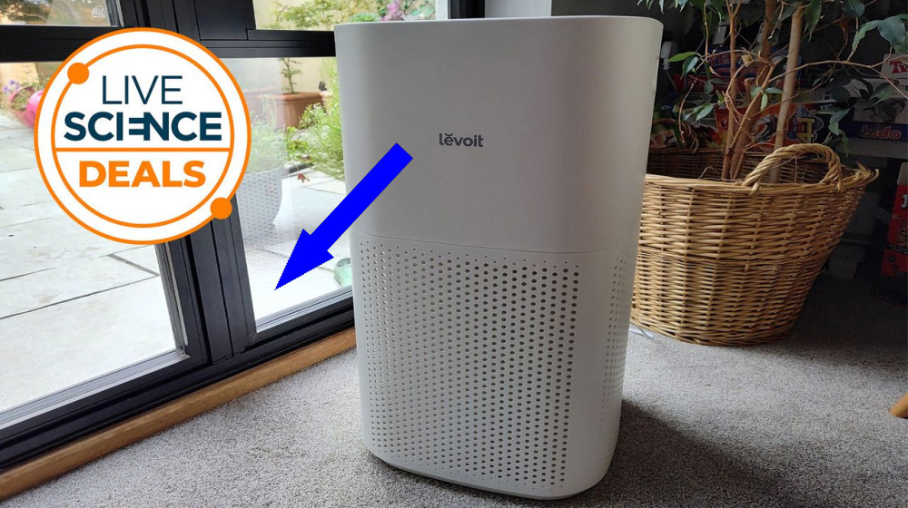 Скидка 20% на лучший очиститель воздуха для борьбы с сенной лихорадкой