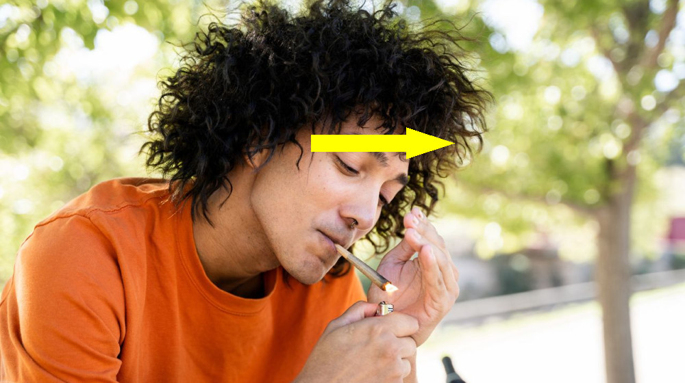 Почему каннабис вызывает у людей сильный голод и желание есть всё подряд