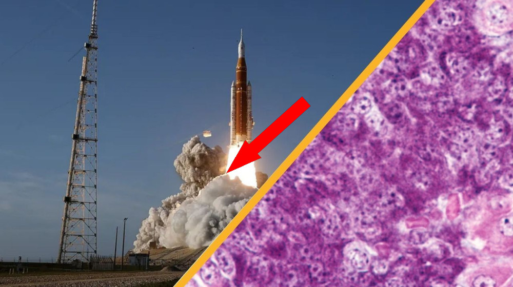 "Наука взрывает мозг": новые горизонты космоса, здравоохранения и климата