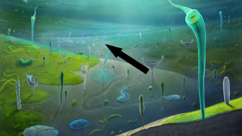 Древние тайны Китая раскрывают загадочных существ до кембрийского взрыва