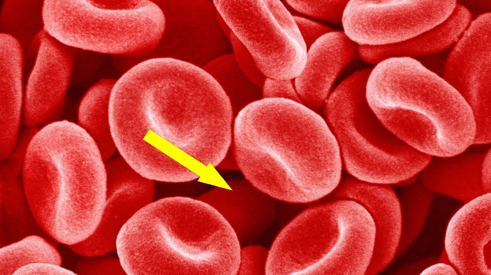 Высота спасает жизни: почему в горах реже болеют диабетом