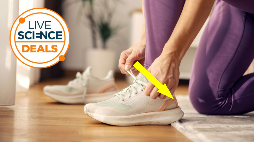 ТОП-10 лучших беговых кроссовок по мнению эксперта