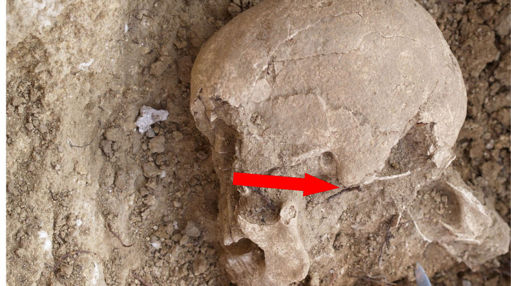 Раскрыта тайна древнего человека из Испании ДНК и загадка его вероисповедания остаётся тайной