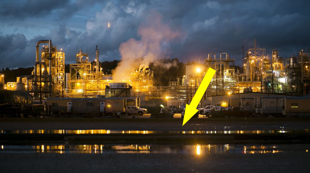 Они буквально повсюду: шокирующая история загрязнения планеты постоянно действующими химикатами