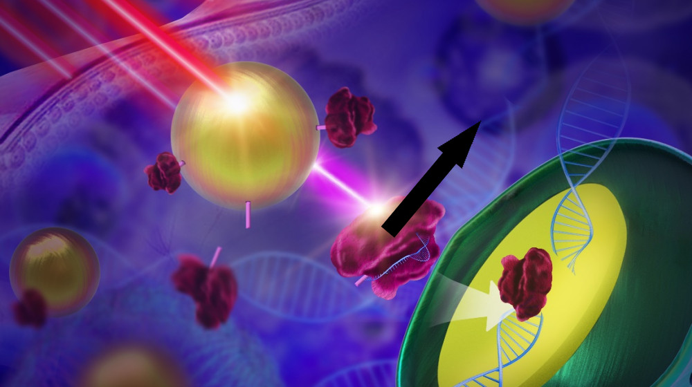 ГРАНДИОЗНЫЙ ПРОРЫВ В МЕДИЦИНЕ: ВПЕРВЫЕ КРЕПКРЕССОВАЯ ТЕХНОЛОГИЯ ИЗЛЕЧИЛА БОЛЕЗНЬ СОКРЫТЫМИ В МЯГКИХ КЛЕТКАХ