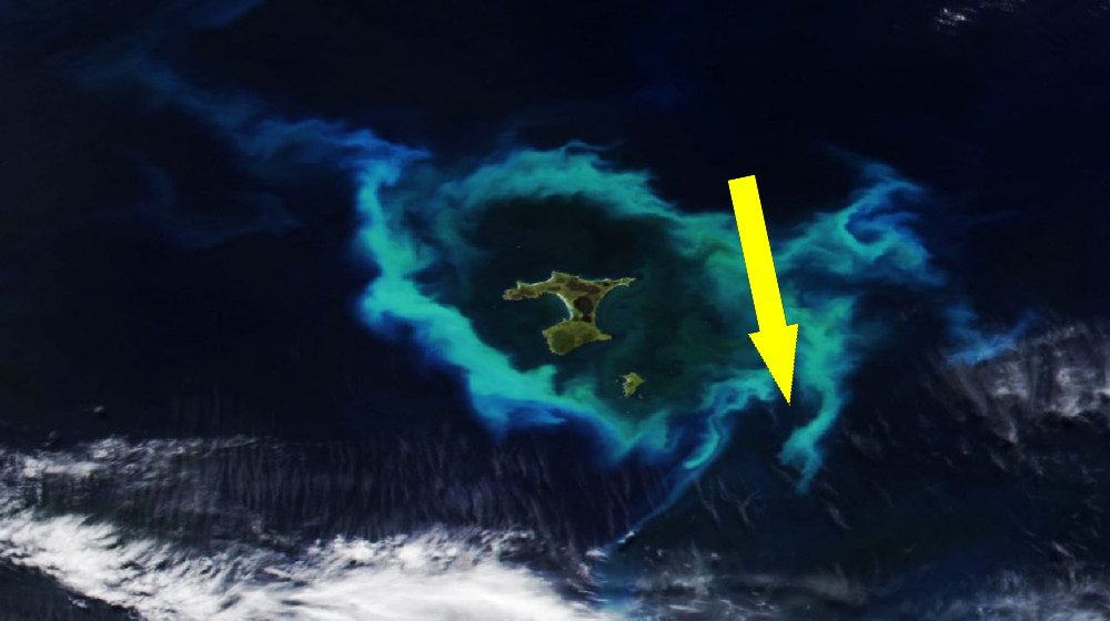  Glowing ring of plankton surrounding New Zealand islands linked to deadly underwater plateau — Earth from space 