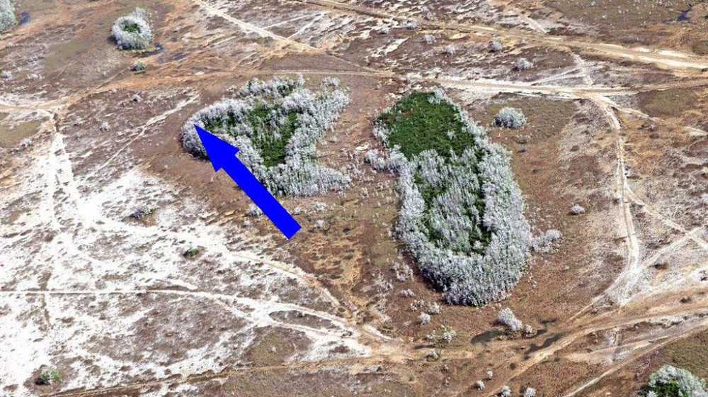  Florida is facing its most intense drought in 15 years. Here's how it got so bad and how long it will last. 