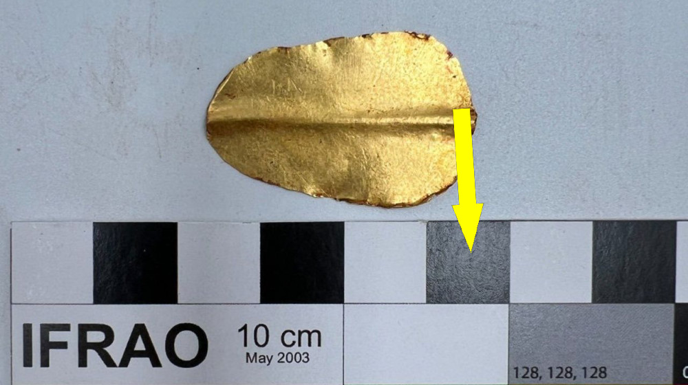 Удивительная находка: египетская мумифицированная тушка содержит оракуловский "Илиаду" в животе