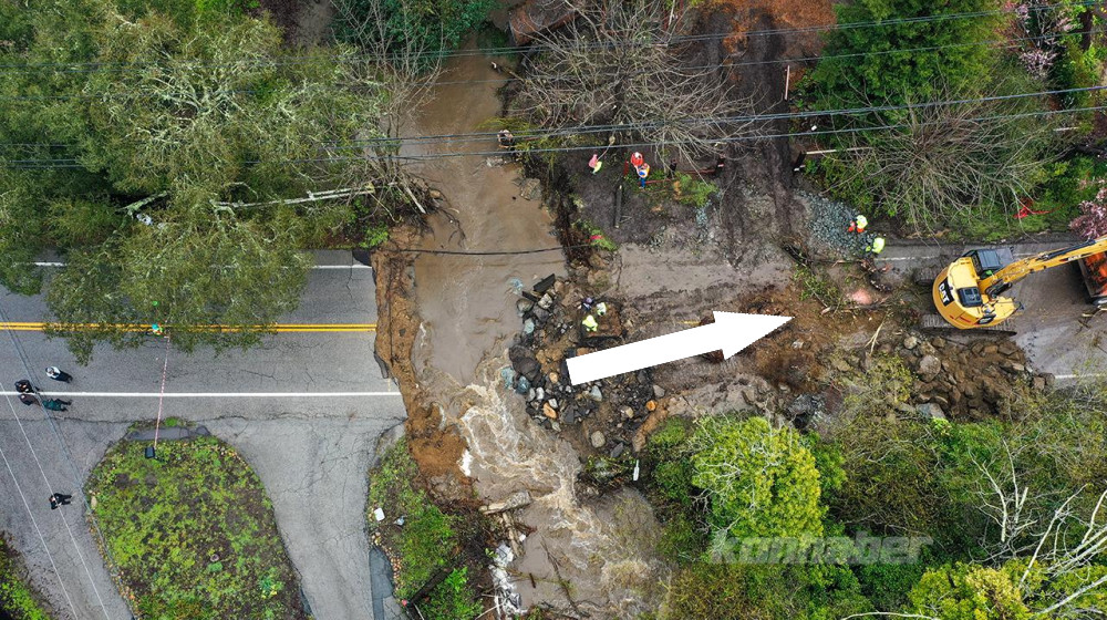  The Trump administration wants to open precious East Coast forests to logging and mining 