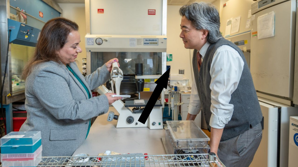 ЖИВЫЕ ИЗОБРЕТЕНИЯ В ИНТЕРВЕНЦИЯХ НА КОЛЕНИ ТЕХНОЛОГИИ КОРЕННО НАСМЕШАЛИ МЕДИЦИНУ