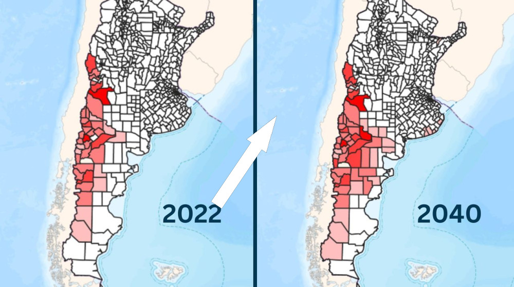  Hantavirus outbreaks could become more likely as virus-carrying rodents expand their range, model finds 