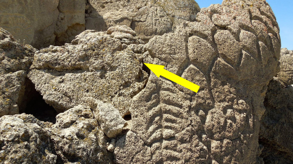  'Speculation' and 'egregious failure': 30 researchers publish scathing critiques of study that questioned date of early human occupation of Monte Verde in Chile 