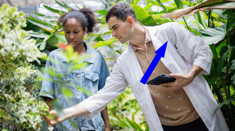  Can people catch infections from plants? 