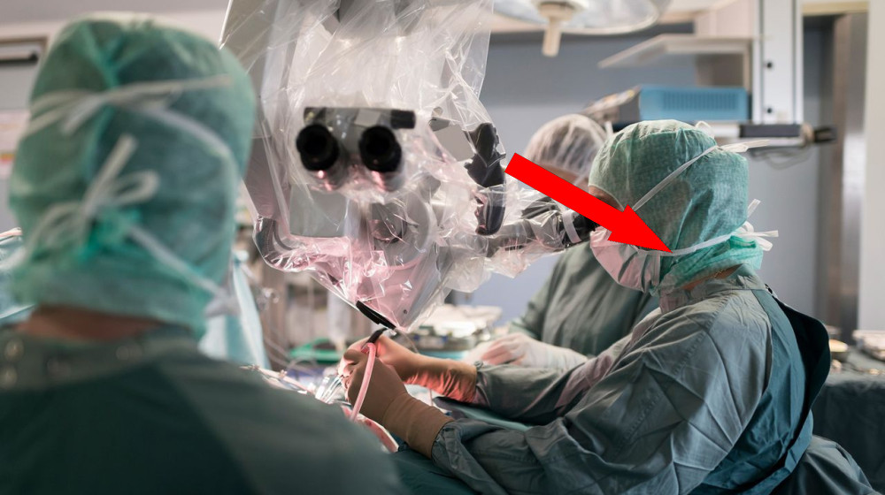  Why aren't brain transplants possible? 