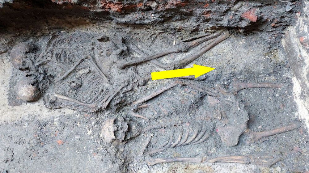  800-year-old 'hugging skeletons' are genetically confirmed as Poland's only medieval same-sex double burial 