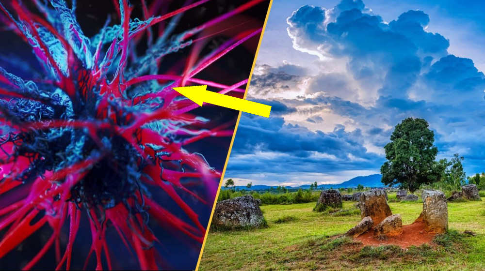  Science news this week: Laotian 'death jar', climate change threatens rice crops, and an asthma drug treats tough cancer 