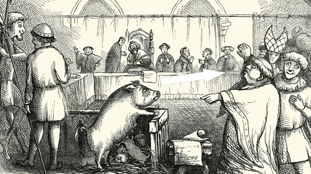  'Animals were imprisoned in jails where humans were incarcerated': The bizarre trials of the Late Middle Ages — and surprising lack of criminal cats 