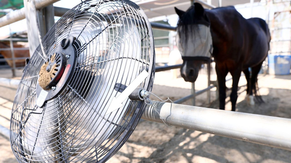  Stupid hot: Heat waves cause cognitive changes in animals, making them more aggressive and unable to complete basic tasks 