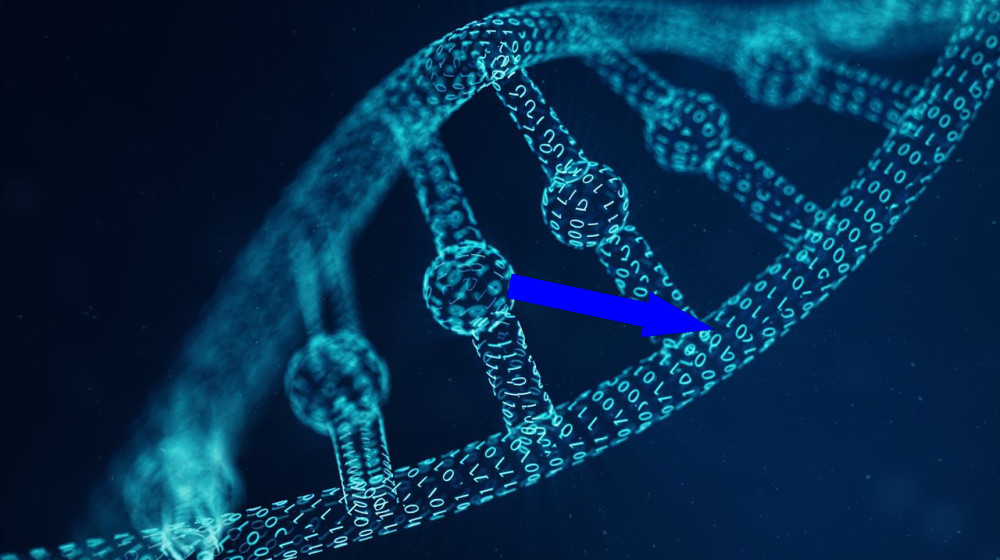  In a first, scientists translated an entire viral genome so a quantum computer could read and analyze it 